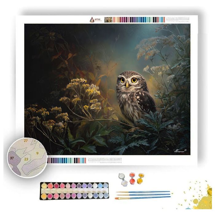 OWL IN THE GARDEN - Paint by Numbers Full Kit