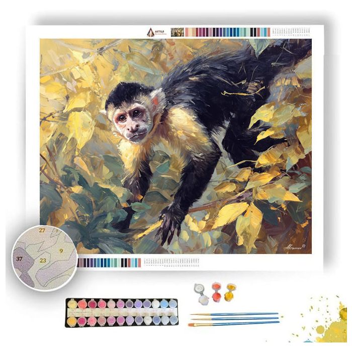 MONKEY IN SUNLIGHT - Paint by Numbers Full Kit