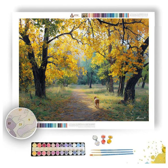 DOG IN AUTUMN PARK - Paint by Numbers Full Kit