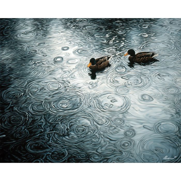DUCKS IN THE RAIN