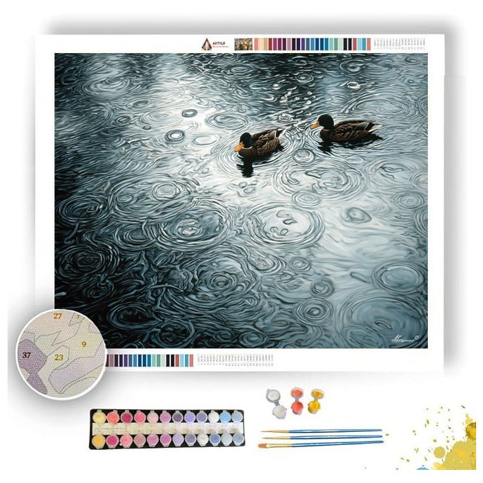 DUCKS IN THE RAIN - Paint by Numbers Full Kit