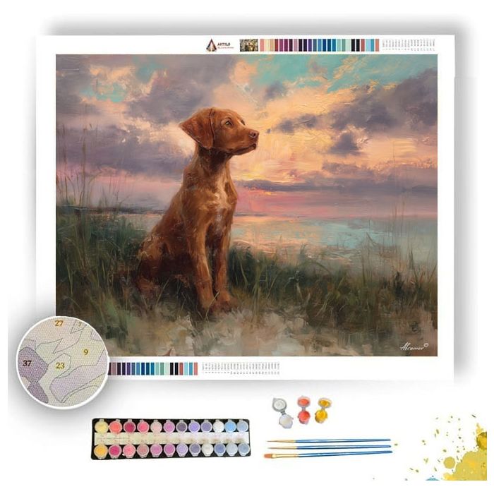 DOG BY THE SEA - Paint by Numbers Full Kit