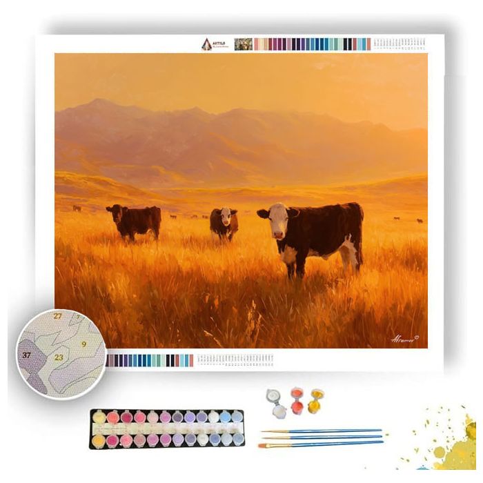 PASTURE GLOW - Paint by Numbers Full Kit
