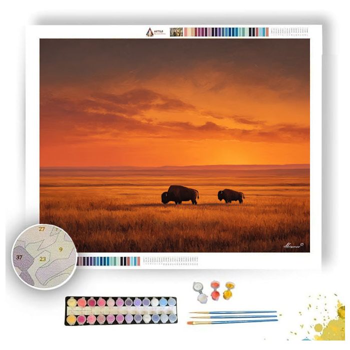 BISON AT SUNSET - Paint by Numbers Full Kit