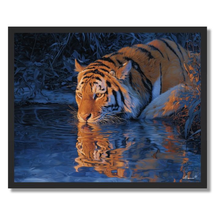 TIGER STREAM REFLECTION - FRAMED