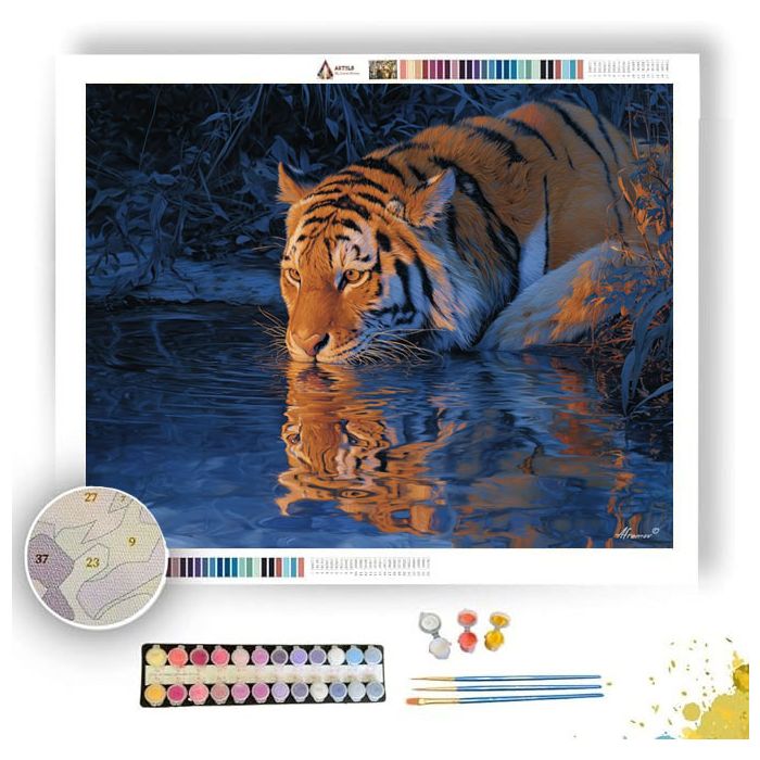 TIGER STREAM REFLECTION - Paint by Numbers Full Kit