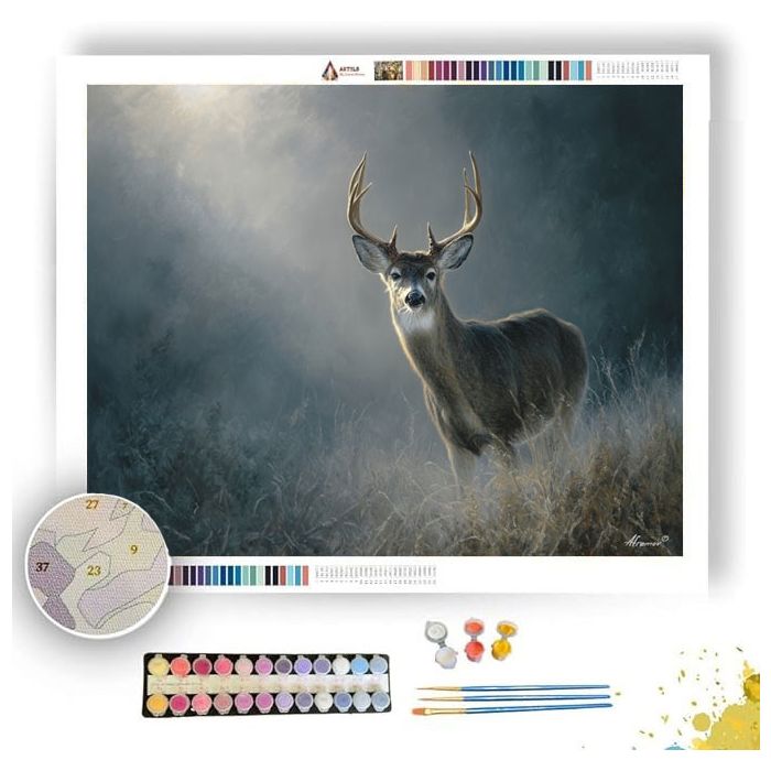 DEER IN SILVER LIGHT - Paint by Numbers Full Kit