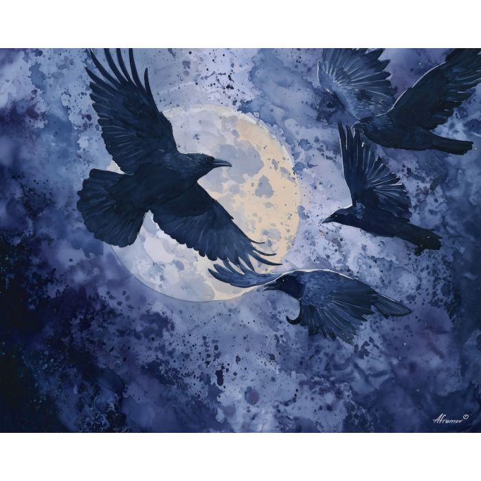 MOONLIGHT RAVEN FLIGHT