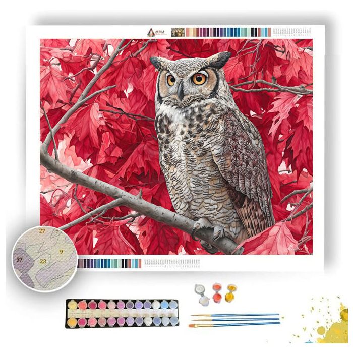 OWL IN THE MAPLES - Paint by Numbers Full Kit