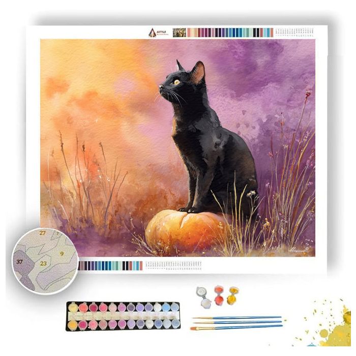 BLACK CAT TWILIGHT - Paint by Numbers Full Kit