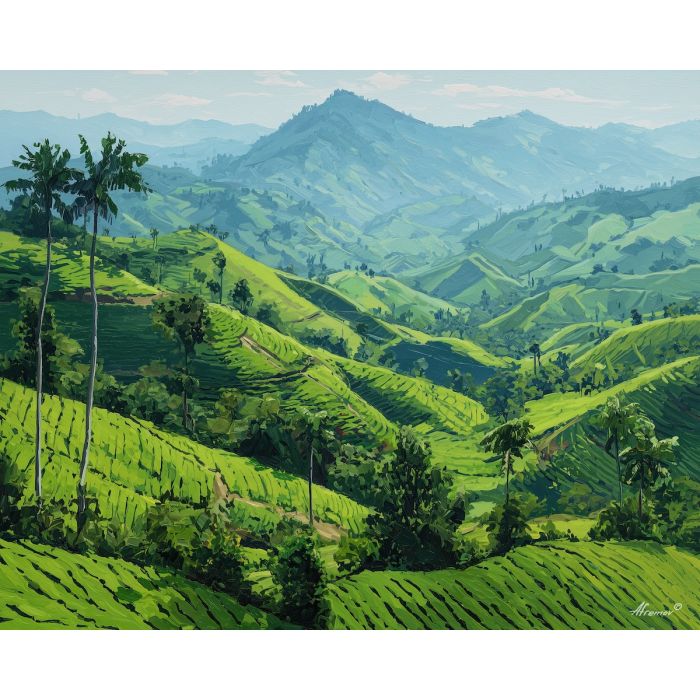 COLOMBIAN COFFEE HILLS