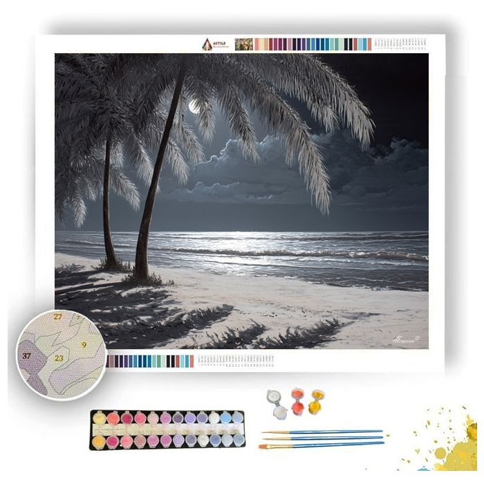 ZANZIBAR MOONLIGHT BEACH - Paint by Numbers Full Kit