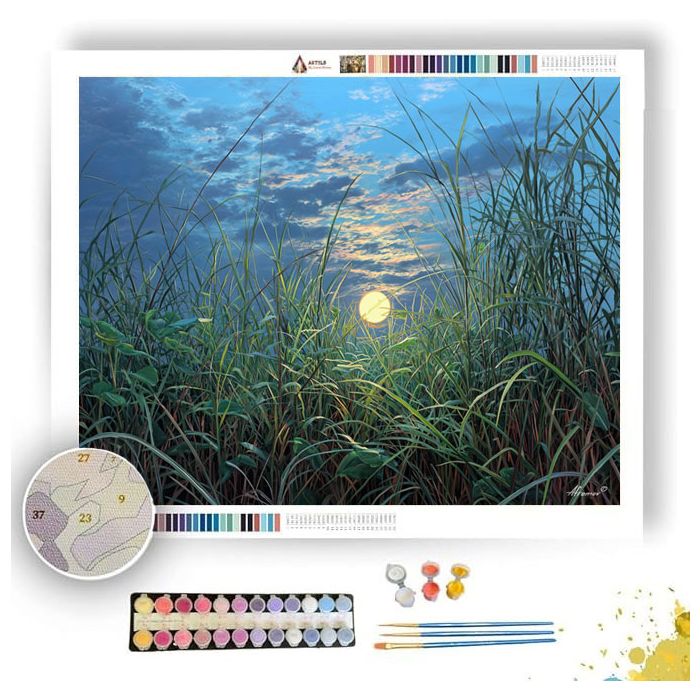 SAVANNA MOON RISE - Paint by Numbers Full Kit