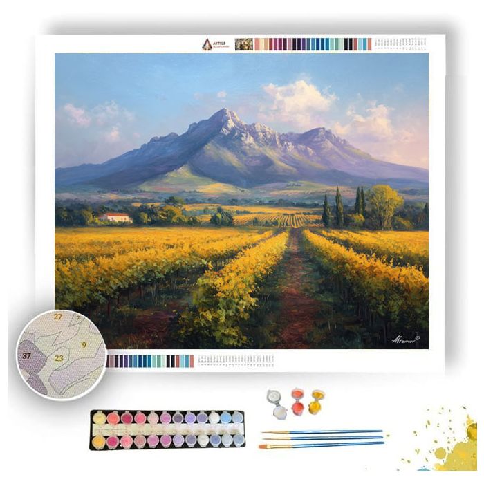 SOUTH AFRICAN WINELAND - Paint by Numbers Full Kit