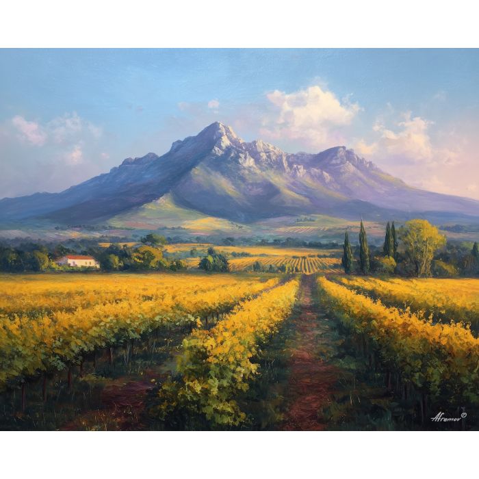 SOUTH AFRICAN WINELAND