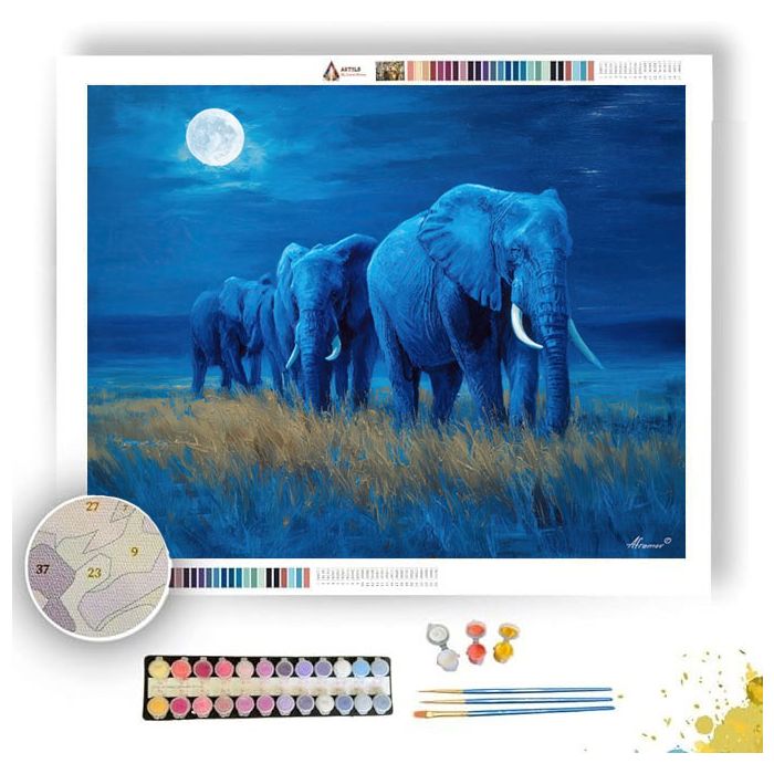 KENYAN MOON SAFARI - Paint by Numbers Full Kit