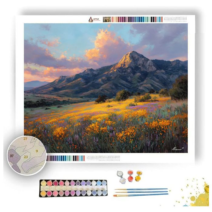 CAPE FLORAL SKY - Paint by Numbers Full Kit