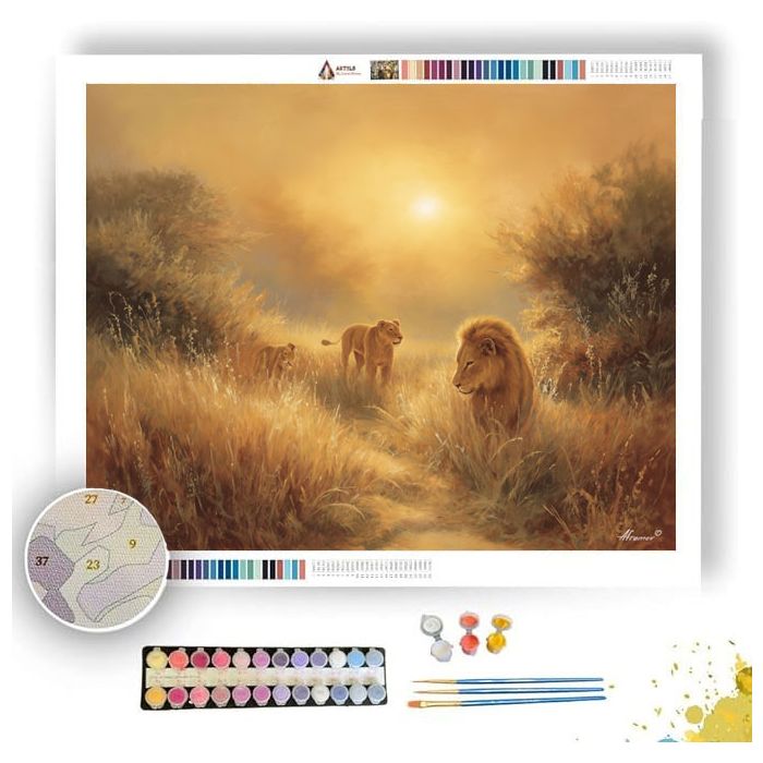 SAVANNA PATH SUN - Paint by Numbers Full Kit