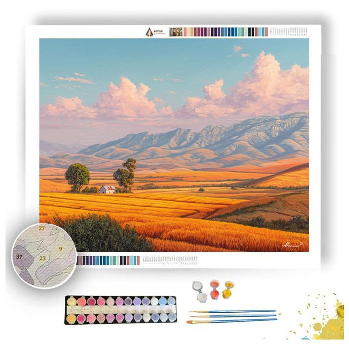 SOUTH AFRICAN FIELD SUN - Paint by Numbers Full Kit