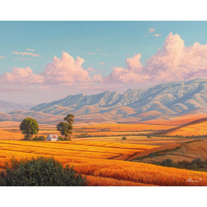 SOUTH AFRICAN FIELD SUN