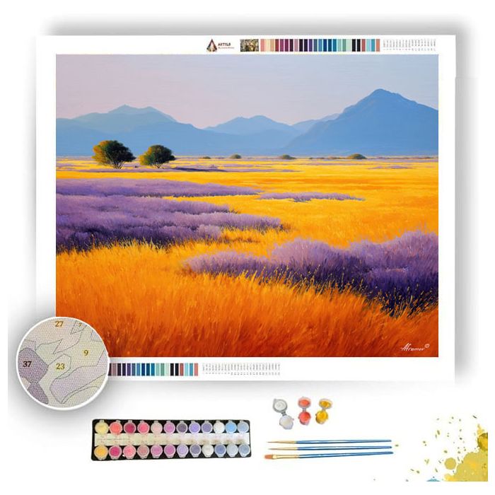 NAMIB SUN FIELDS - Paint by Numbers Full Kit
