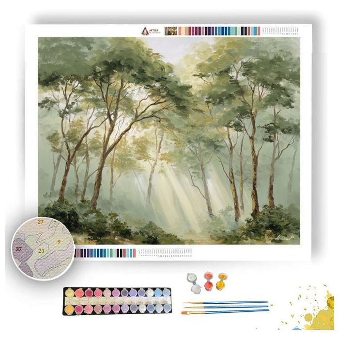 MISTY FOREST MORNING - Paint by Numbers Full Kit