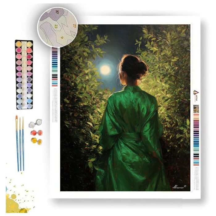 WOMAN IN GREEN SILK - Paint by Numbers Full Kit