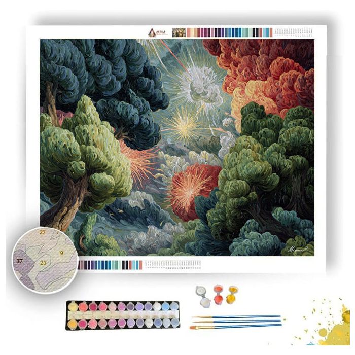 FIREWORK FIELDS - Paint by Numbers Full Kit