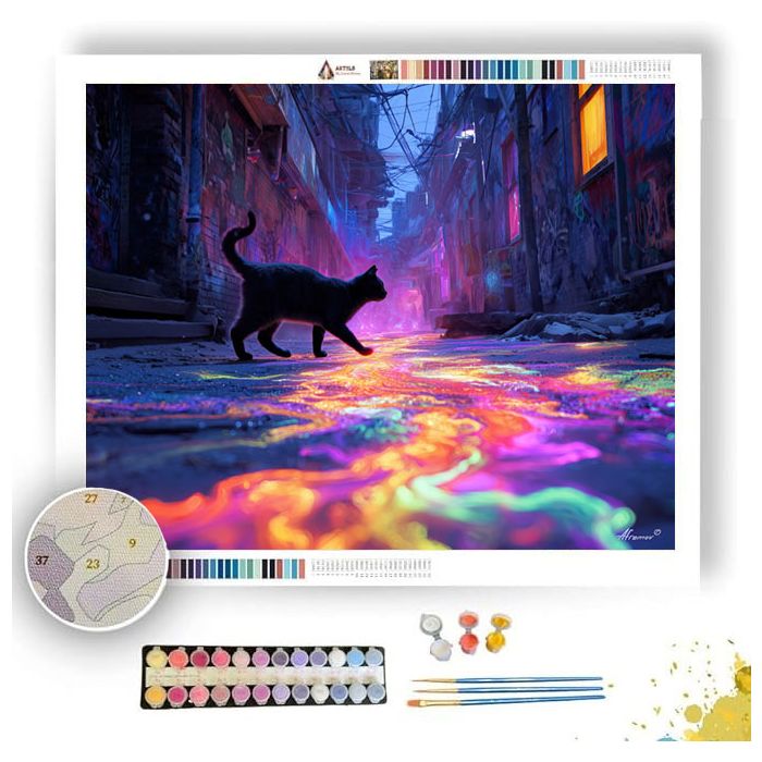 CAT ON COLOR STREET - Paint by Numbers Full Kit