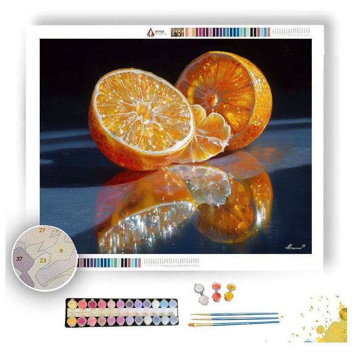 FRUIT SKIN UNIVERSE - Paint by Numbers Full Kit
