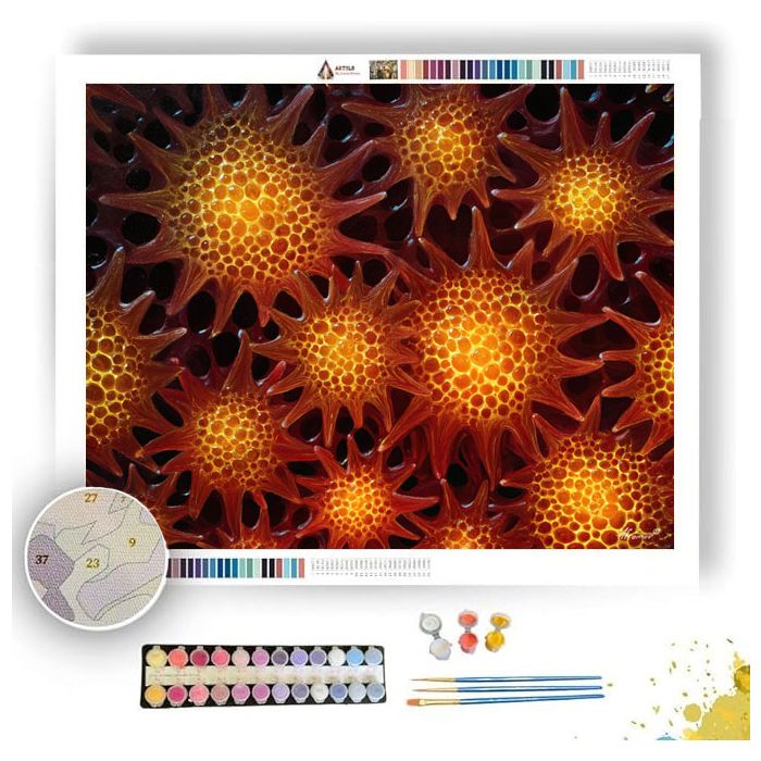 PAINTED POLLEN - Paint by Numbers Full Kit