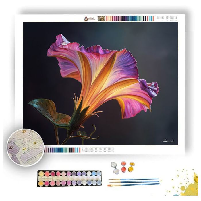 PETAL CURVE SHADOW - Paint by Numbers Full Kit