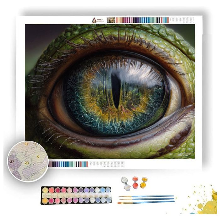 FROG EYE MIRROR - Paint by Numbers Full Kit