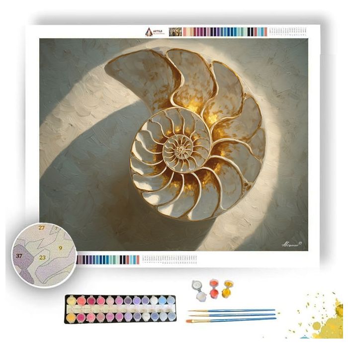 SHELL SPIRAL LIGHT - Paint by Numbers Full Kit