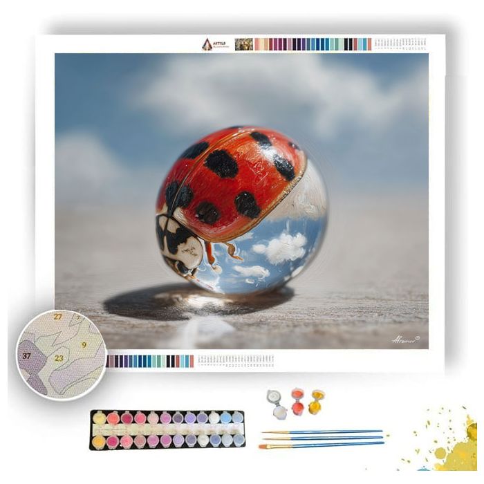 LADYBUG WORLD - Paint by Numbers Full Kit