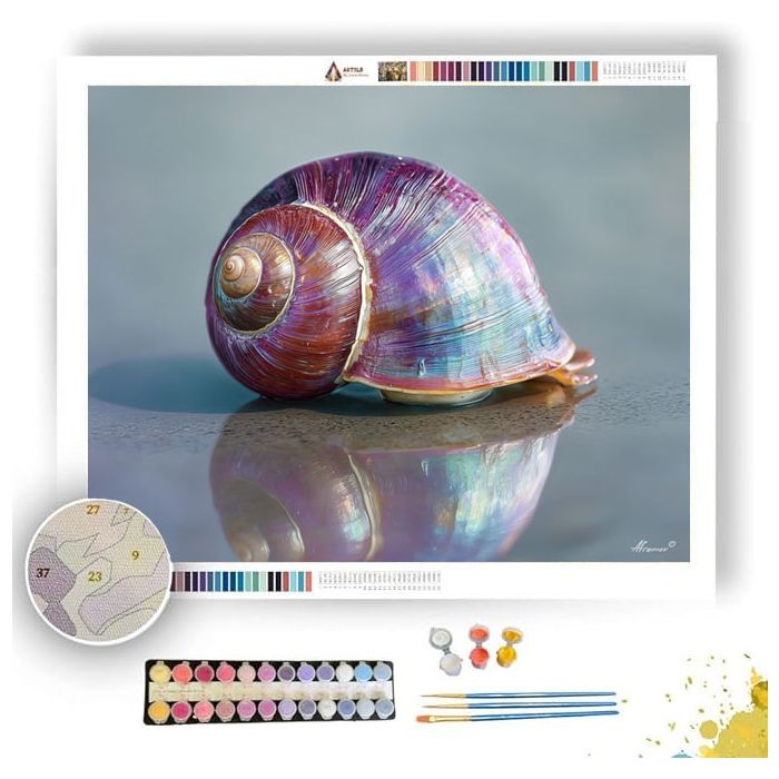 RAINBOW SHELL - Paint by Numbers Full Kit