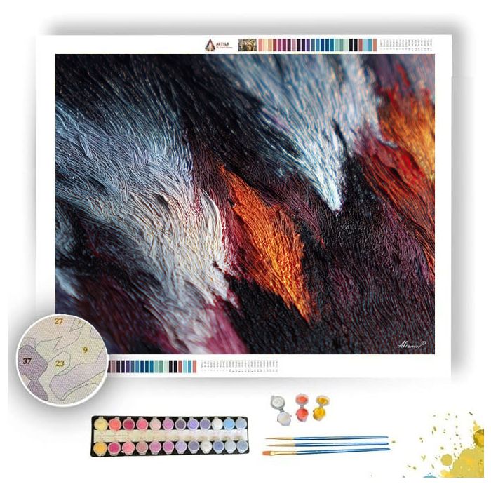 FUR GALAXY - Paint by Numbers Full Kit
