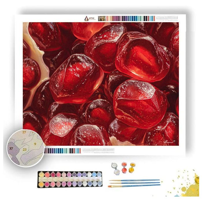 RUBY FRUIT GLOW - Paint by Numbers Full Kit
