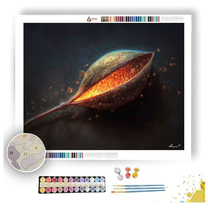 COLOR SEED WORLD - Paint by Numbers Full Kit
