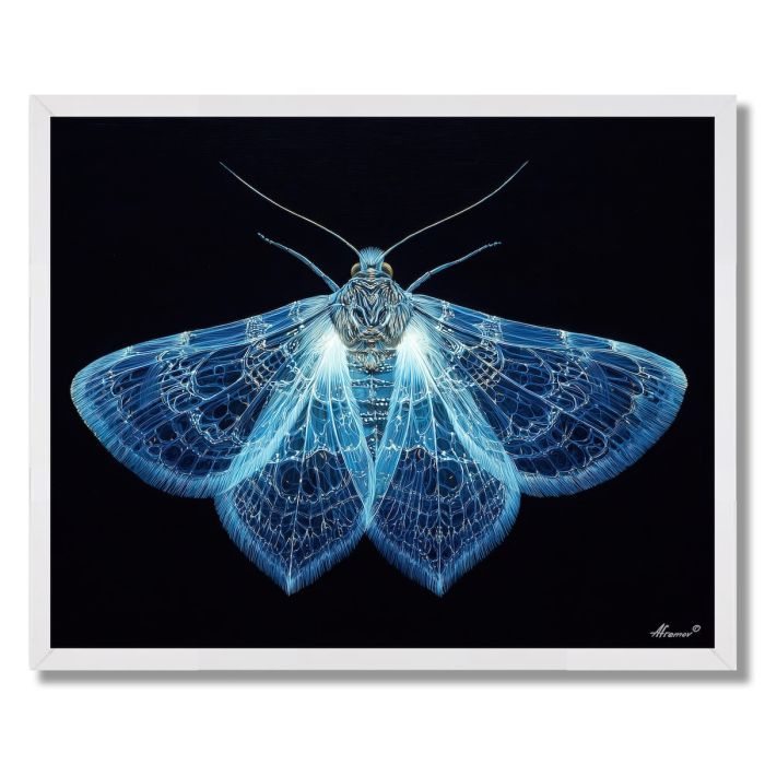 LUMINESCENT MOTH - FRAMED