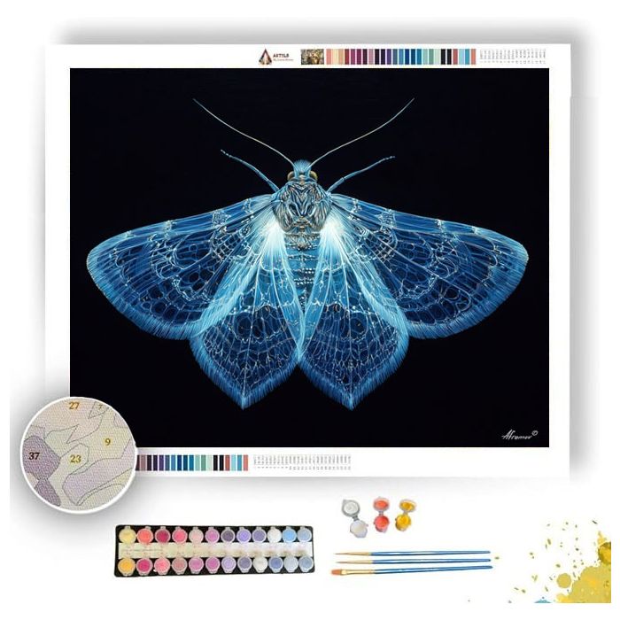 LUMINESCENT MOTH - Paint by Numbers Full Kit