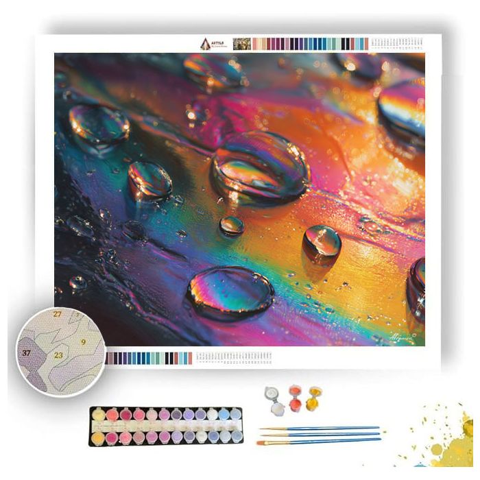 OPTICAL DISC DETAIL - Paint by Numbers Full Kit