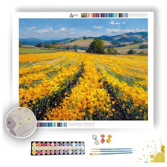 SUNFIELD - Paint by Numbers Full Kit
