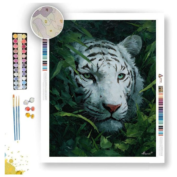 WHITE TIGER IN COLOR B&W - Paint by Numbers Full Kit