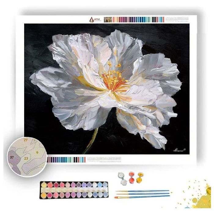 WHITE BLOOM SILENCE - Paint by Numbers Full Kit