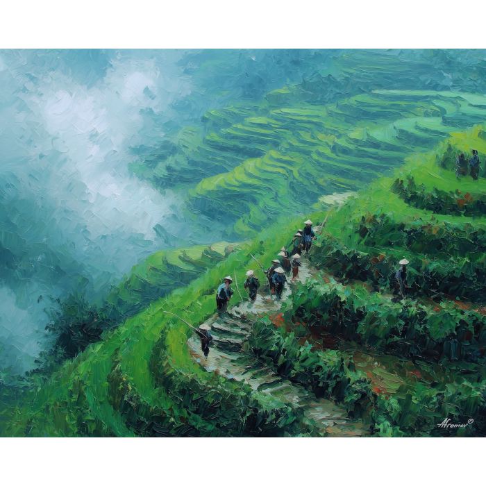 CHINESE RICE TERRACES