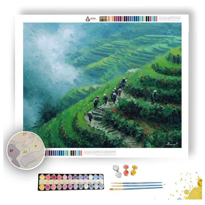 CHINESE RICE TERRACES - Paint by Numbers Full Kit