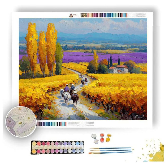 FRENCH VINEYARD ROAD - Paint by Numbers Full Kit