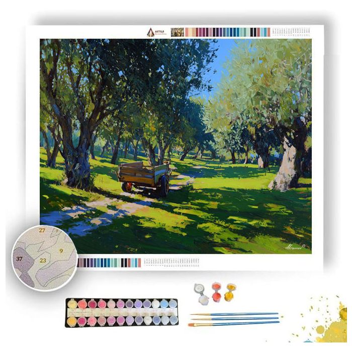 SPANISH OLIVE GROVE - Paint by Numbers Full Kit