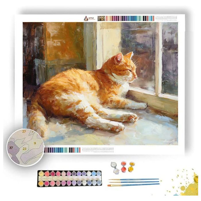 CAT BY WINDOW - Paint by Numbers Full Kit
